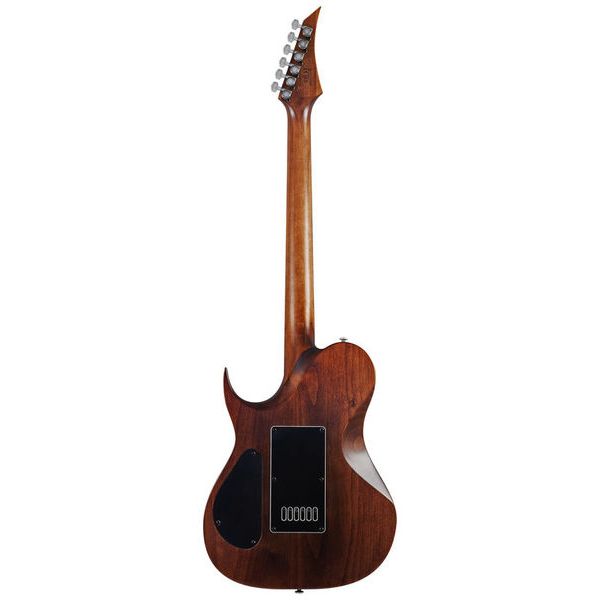Solar Guitars T1.6D Aged Natural