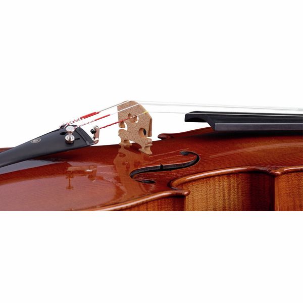 Ernst Heinrich Roth 62/VII-R Master Violin 4/4