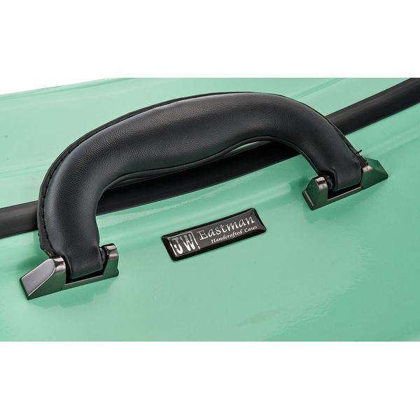 JW-eastman CE133 4/4 Cello Case PPG