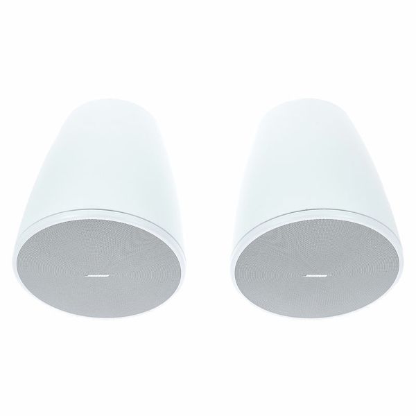 Bose Professional DesignMax DM6PE white