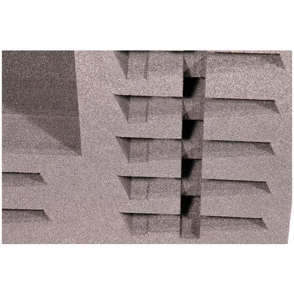 Thon Ext. Module Speech 100M 8xC/D