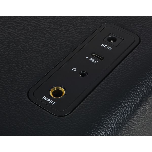 Mooer Hornet 15i Modeling Amp Black