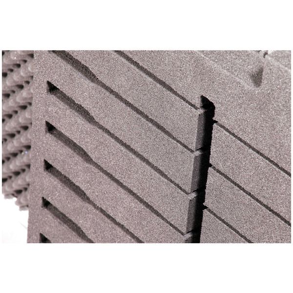 Thon Ext. Module Speech 100M 8xC/D