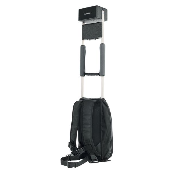 Monacor PAS-254D Headset/Lav Bundle