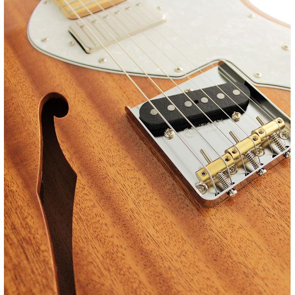 FGN Neo Classic TE110 SH NT