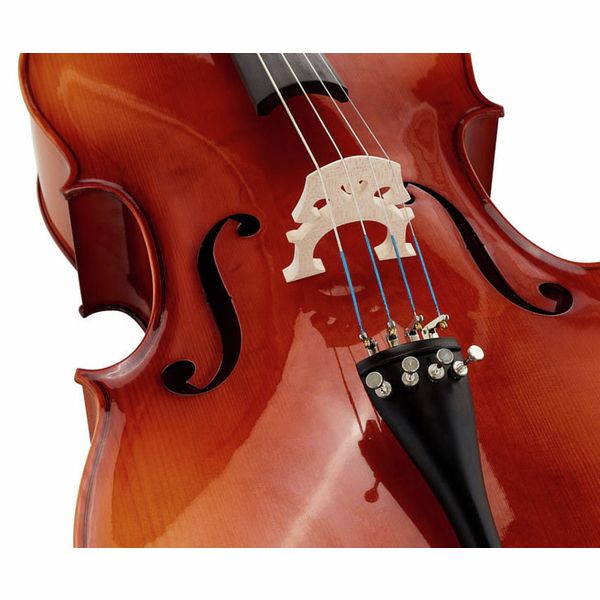 Roth & Junius Europe 4/4 Student Cello Set