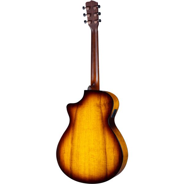 Breedlove Pursuit Ex. S Drdn Conc CE TE