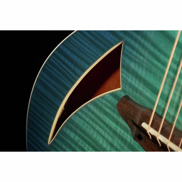 ESP LTD TL-6 Fm AQMB