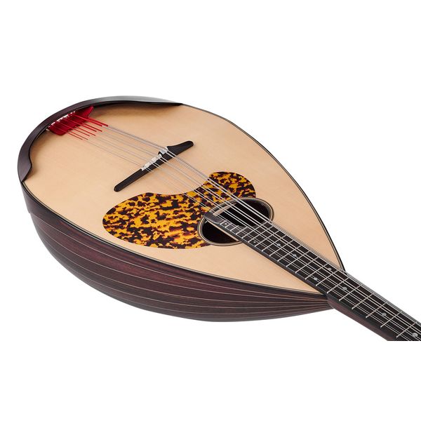 Atsushi Miyano Mandoloncello MC-1 RG