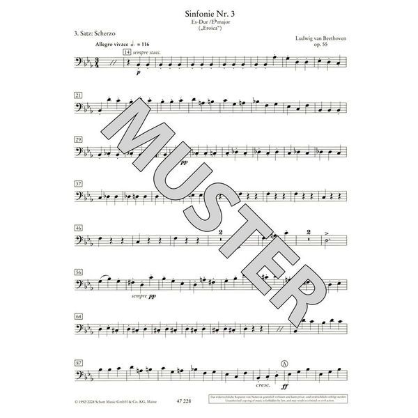 Schott Orchester Probespiel DoubleBas