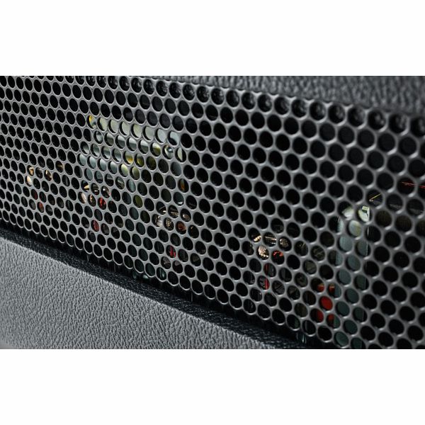 Friedman BE-100 Deluxe Head