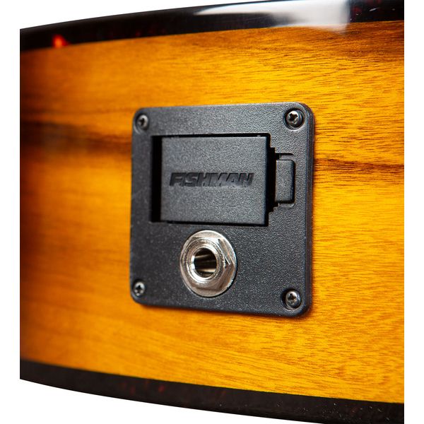 Breedlove Pursuit Exotic S Concert CE TE