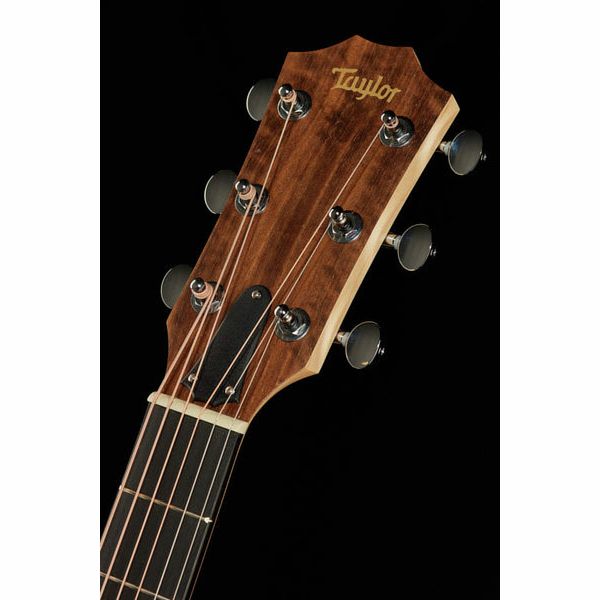 Taylor Big Baby Taylor BBTe