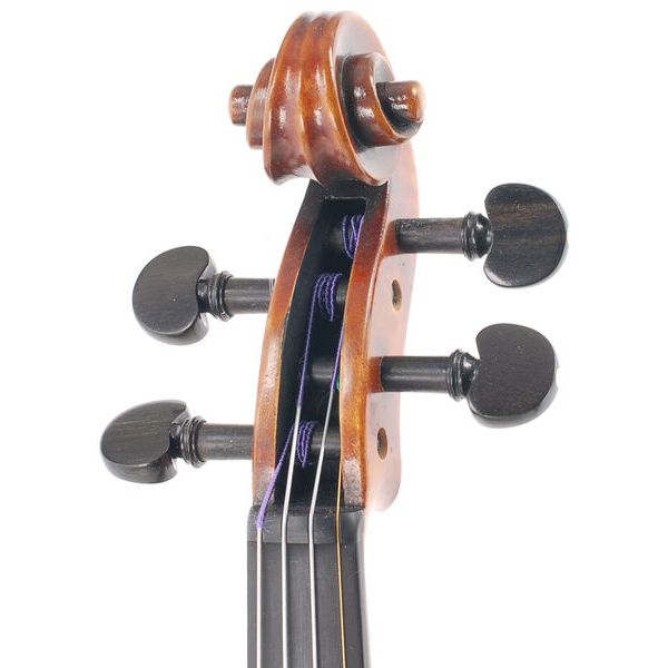 Karl H&ouml;fner H225-CB-V Carlo Bergonzi