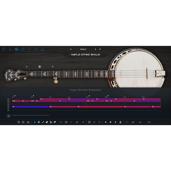 Ample Sound Ample Ethno Banjo