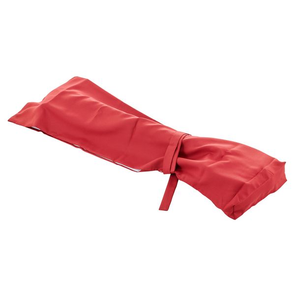 Zenon ZSM-10 Student Shamisen Set