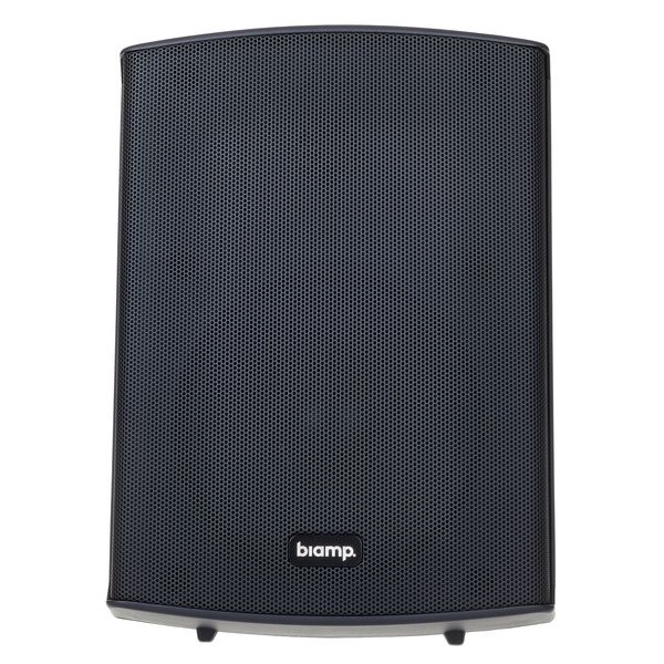 Biamp Systems SDQ5P Black