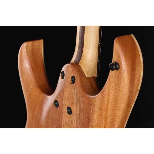 Mayones Guitars Duvell Elite 4Ever 6 PB