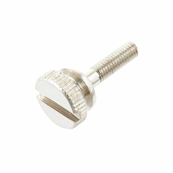 Thomann Lyre Screw 8x16xM2,6 NP