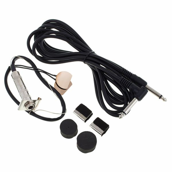 Fishman BP-100-B-Pickup