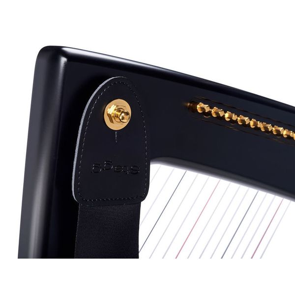 Salvi Delta Electric Harp Ebony