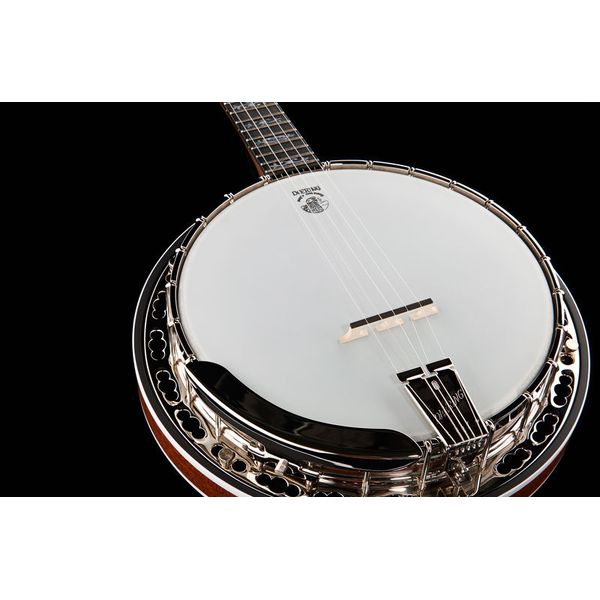 Deering Sierra 5-String