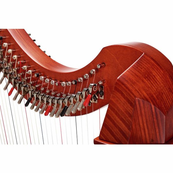 Salvi Gaia 38 Cherry