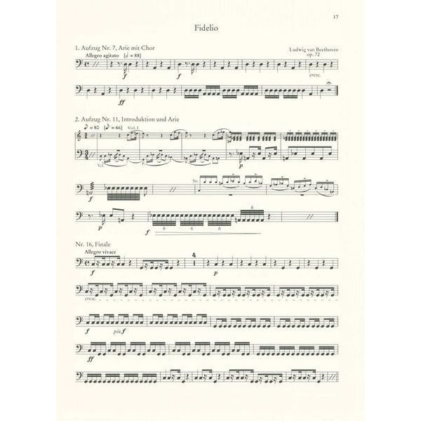 Schott Orchester Probespiel Pauke