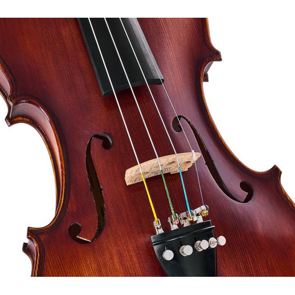 Roth & Junius Europe Orchestra Violin Set GE