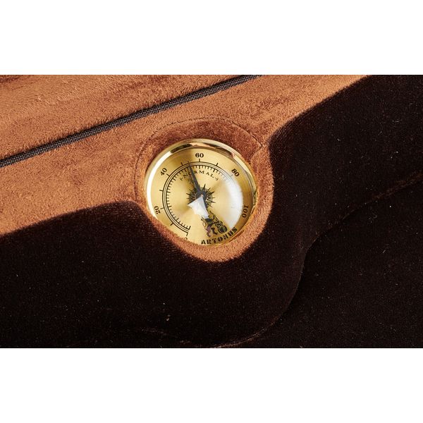 Artonus Elipe Violin Case 4/4 R1