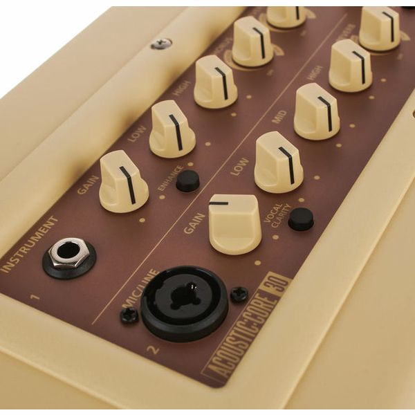 Blackstar Acoustic:Core 30