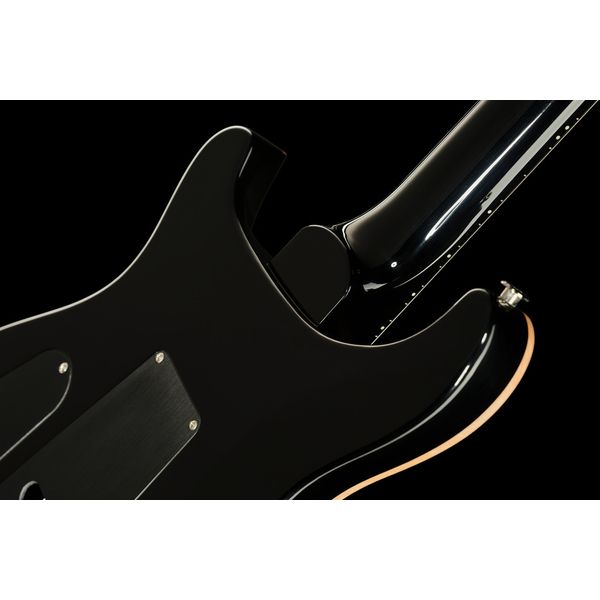 PRS Custom 24 Floyd CB 10 Top