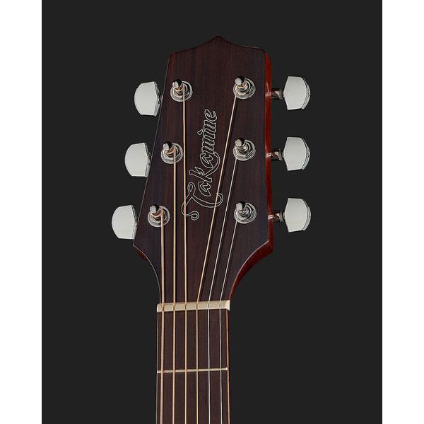 Takamine GD20CE-N