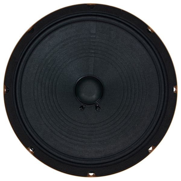 Mojotone Anthem 10" 16 Ohm Speaker