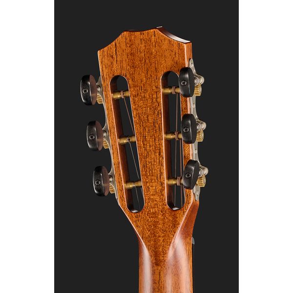 Taylor 322e-12Fret-V-Class