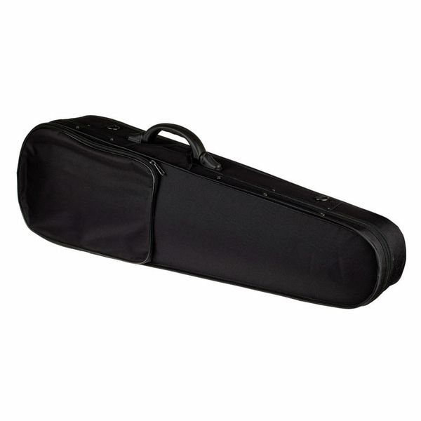 Roth & Junius Europe Student Violin Set 4/4