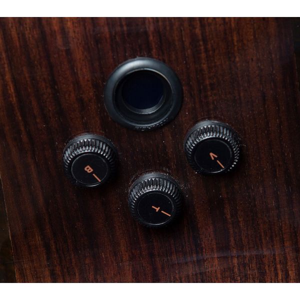 Breedlove Performer Pro Conc Rswd CE A