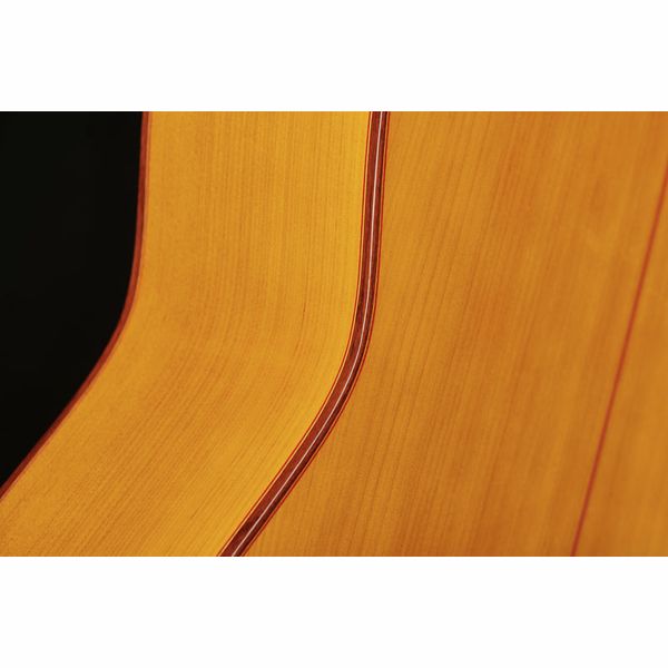 Juan Hernandez Luthier Flamenca SP