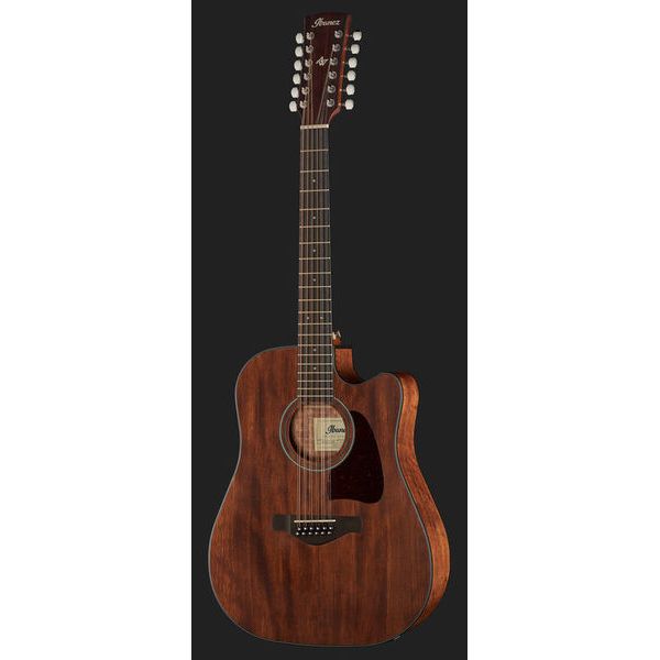 Ibanez AW5412CE-OPN Artwood