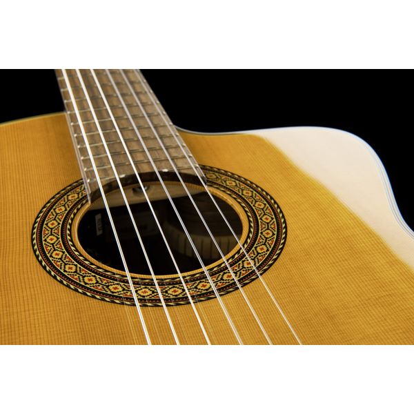 Takamine EC132SC w/Softcase