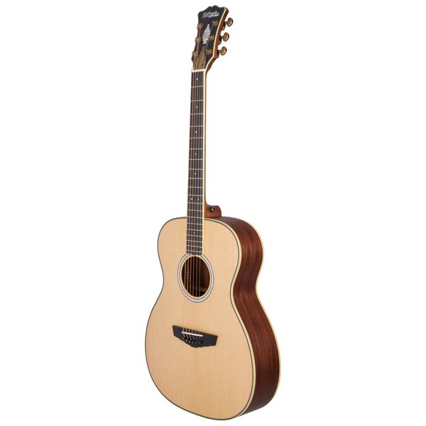 DAngelico Excel Josh Turner Tammany