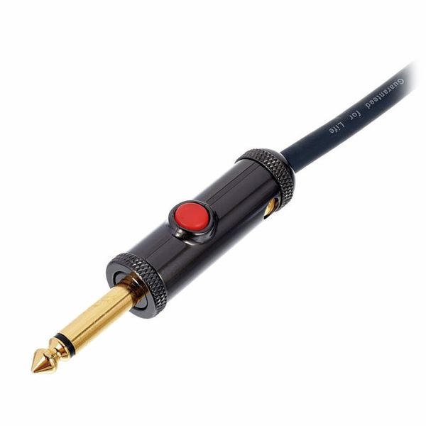 Daddario PW-AGL-10 Cable