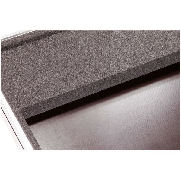 Thon Case Mackie ProFX22v3