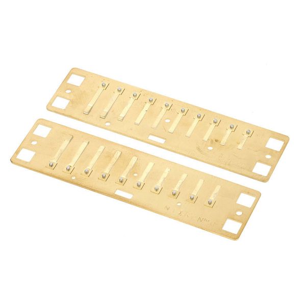 Lee Oskar Natural Minor Reedplates G