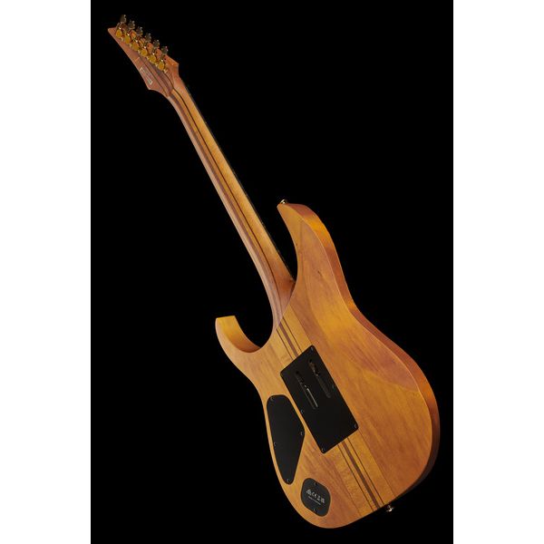 Ibanez RGT1220PB-ABS