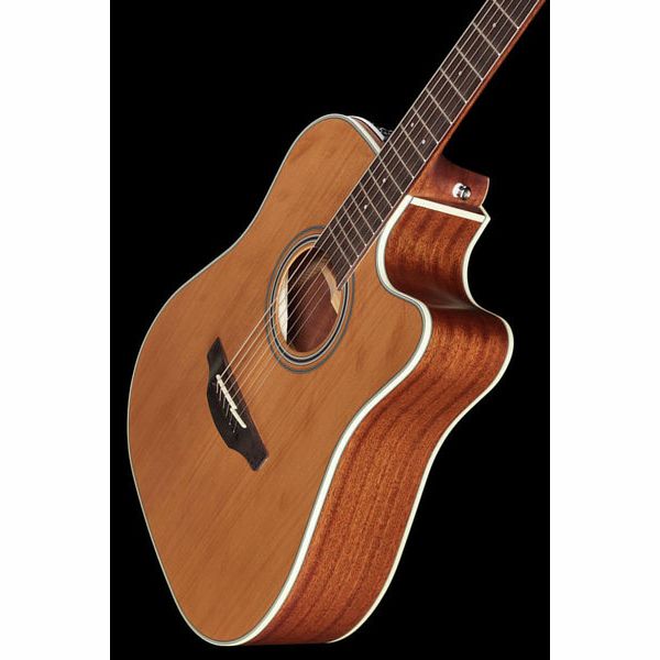 Takamine GD20CE-N