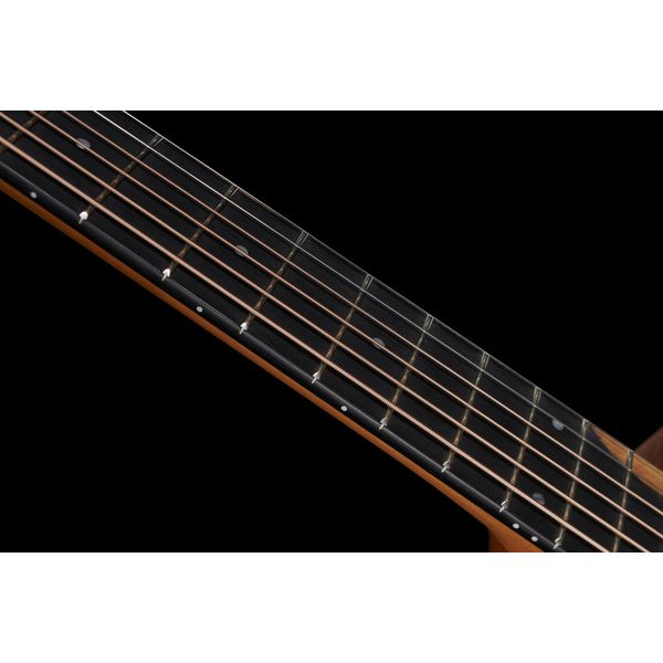 Taylor GS Mini Sapele Torrefied Top