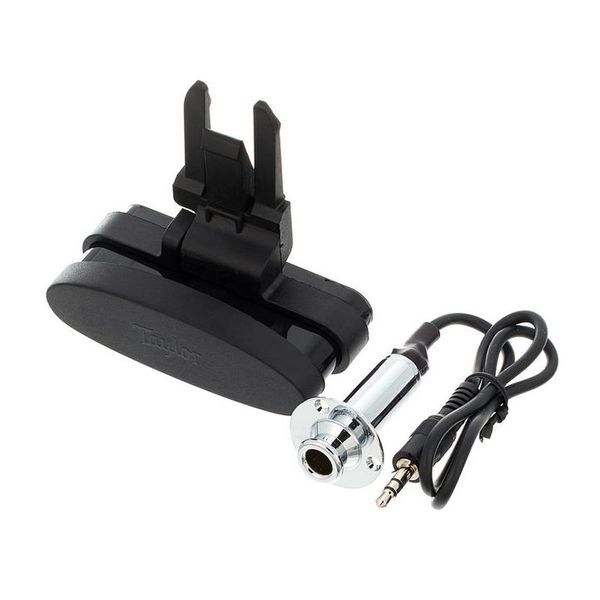 Taylor ES Go Pickup GS Mini