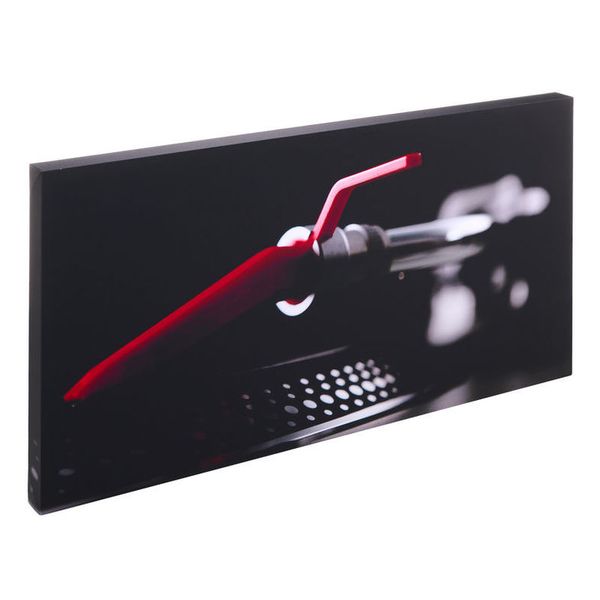 t.akustik Print Panel The Needle