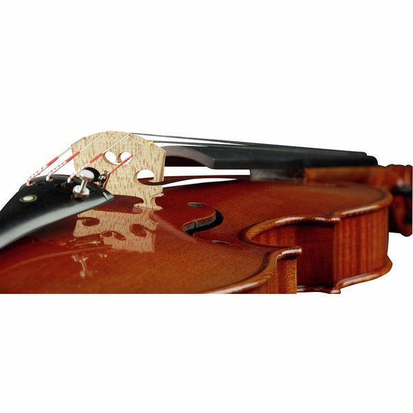 Ernst Heinrich Roth 63/VIII-R Master Violin 4/4